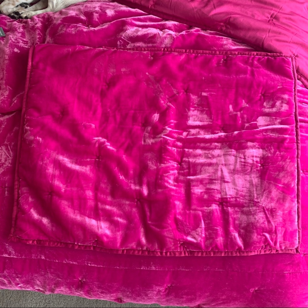 Opal House Pink Velvet Pillow Sham